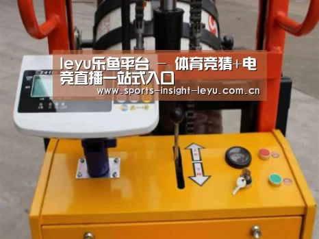 乐鱼入口案例展示三(图1)