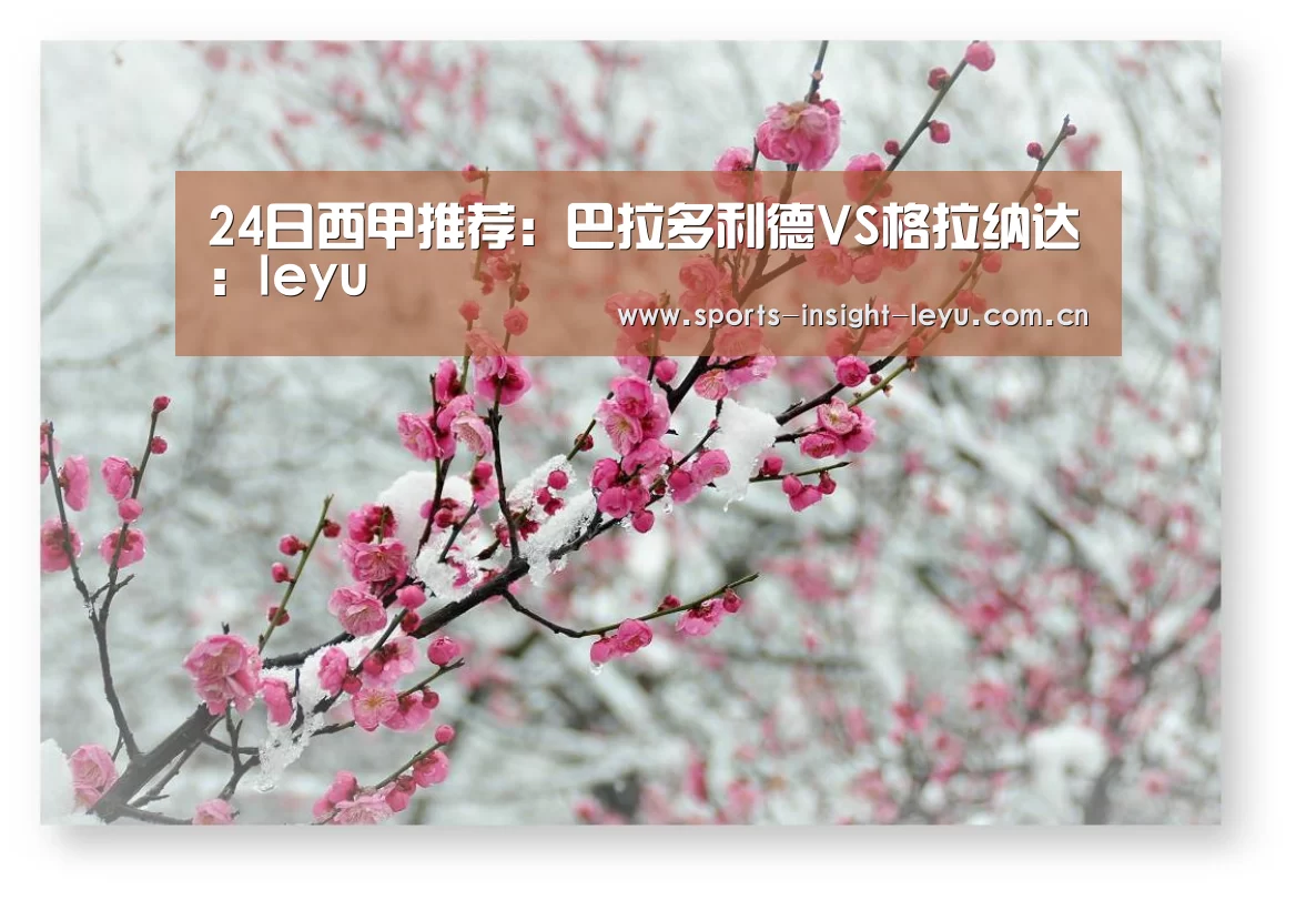 乐鱼官网